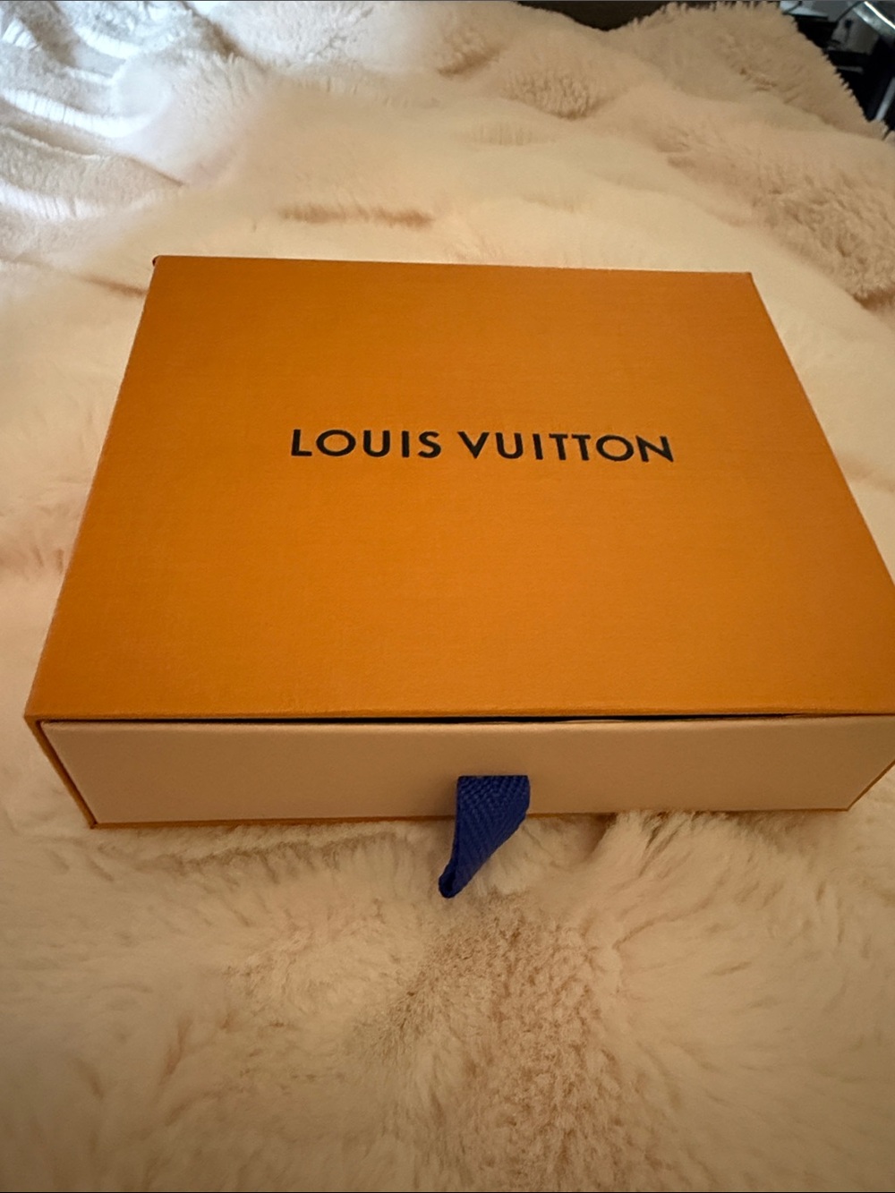 Louis Vuitton Gift Box w/Dust Bag - Picture 2 of 6